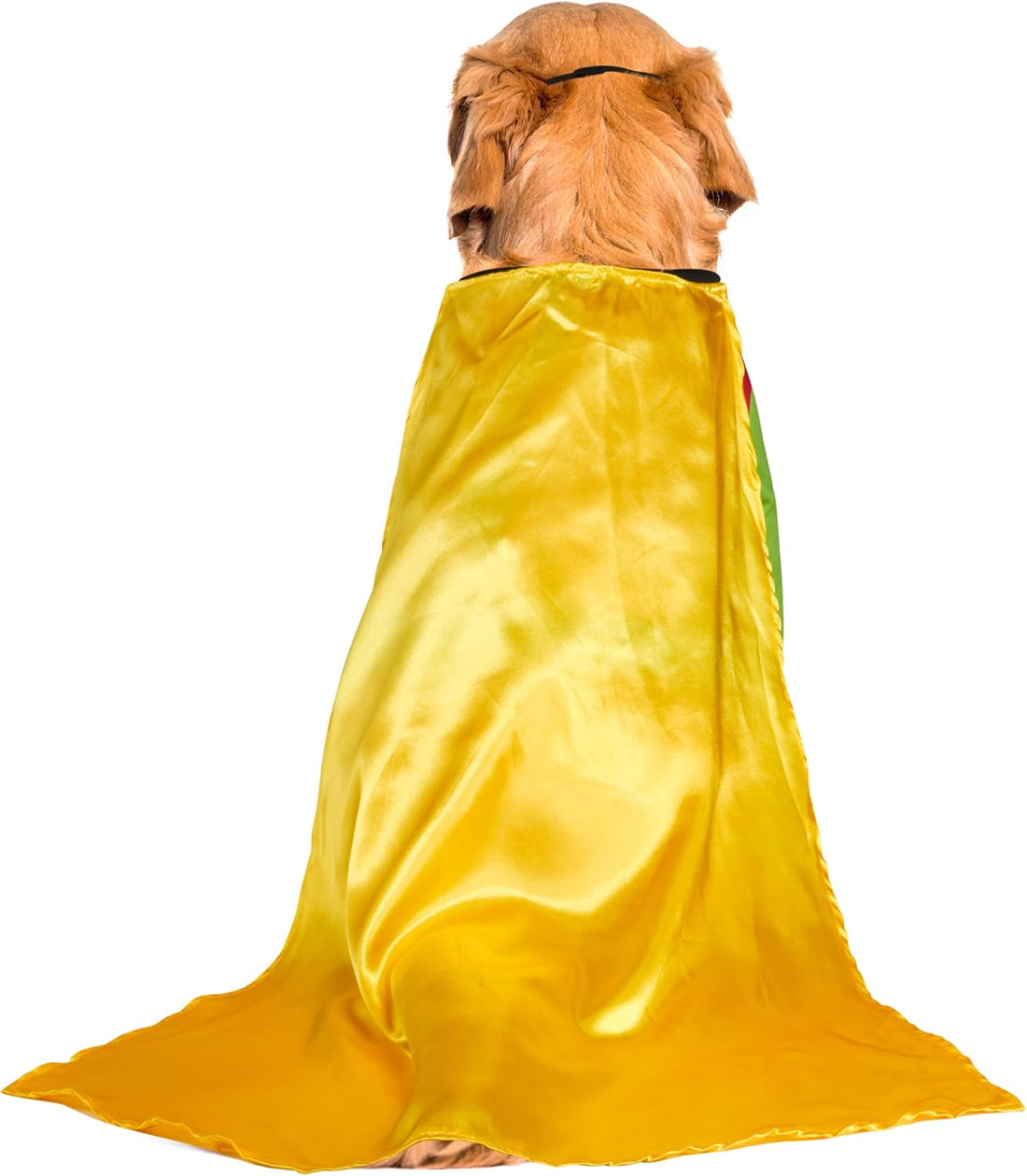 Rubies Teen Titans: Robin Pet Costume for Dogs or Cats