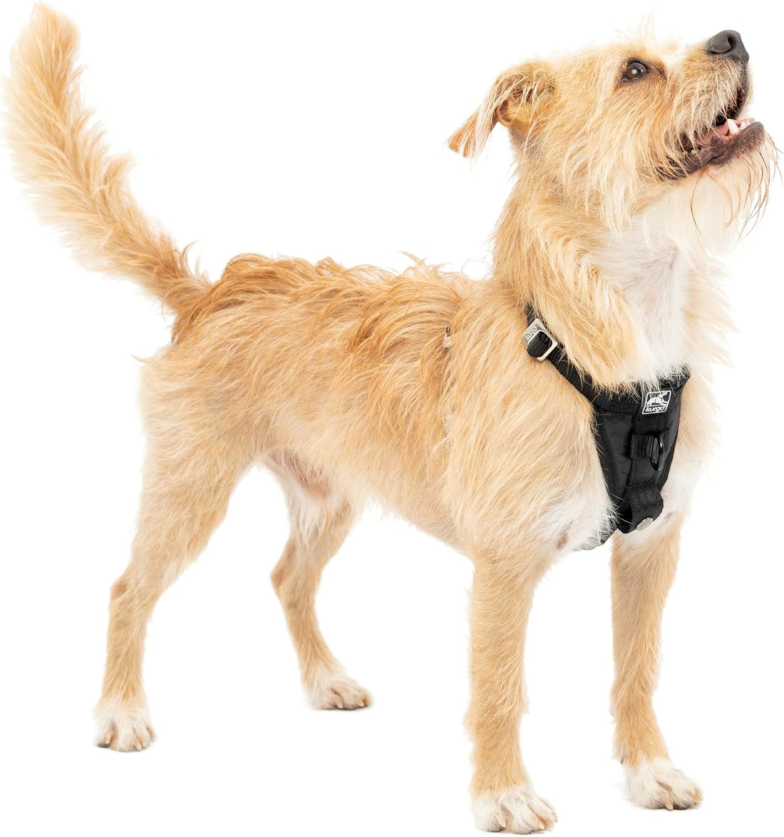 Kurgo Enhanced Strength Tru-Fit Smart Harness