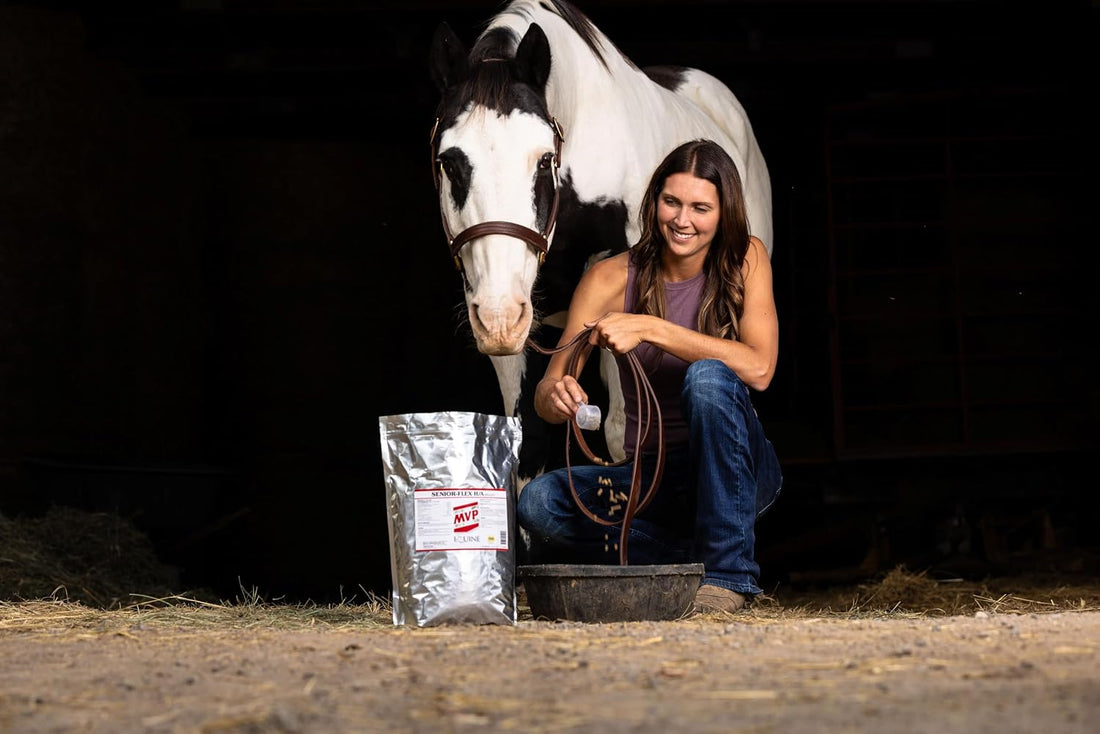 Senior-Flex H/A Senior Horse Joint