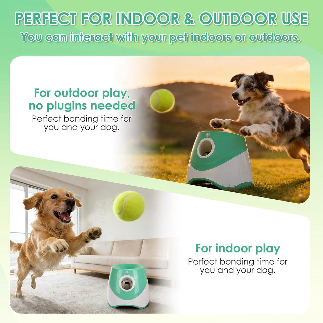 TeqHome Automatic Ball Launcher for Dogs