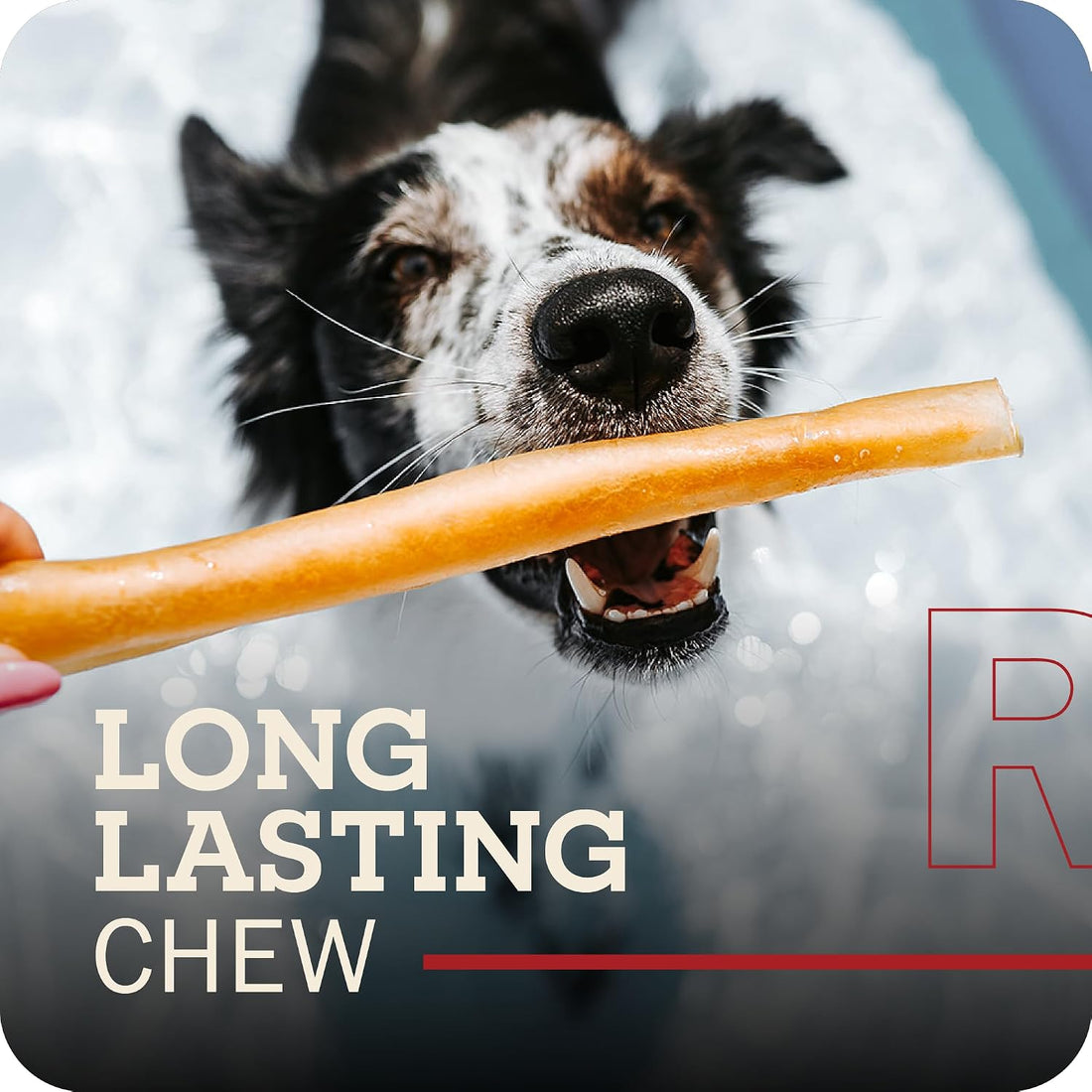 Redbarn Collagen Slims 100% Natural Beef Dog Chew, Single Ingredient