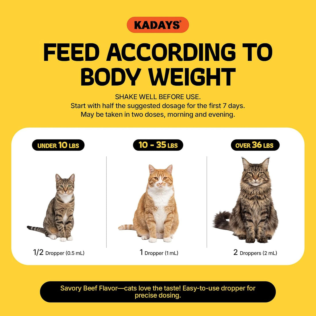 Liquid Glucosamine for Cats 2-Pack