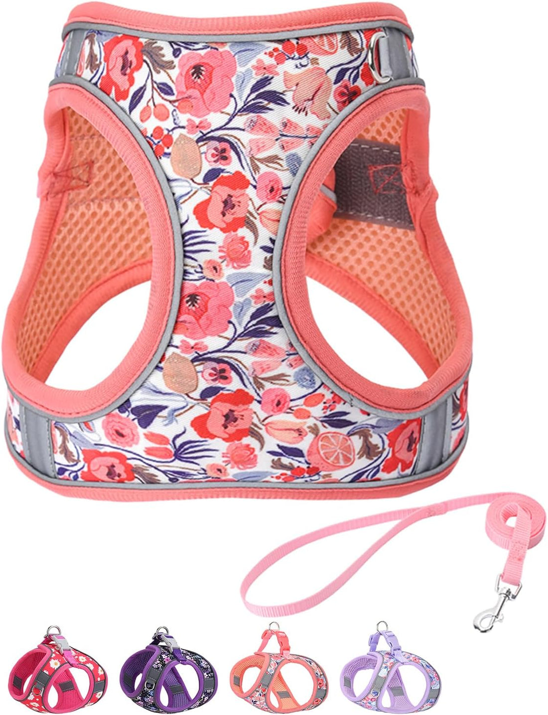 Step in Dog Harness and Leash Set, Pet Vest Harness