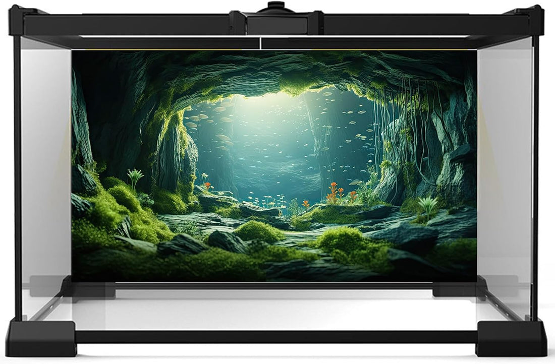 Underwater Cave Aquarium Background Under The Sea World Large Rock