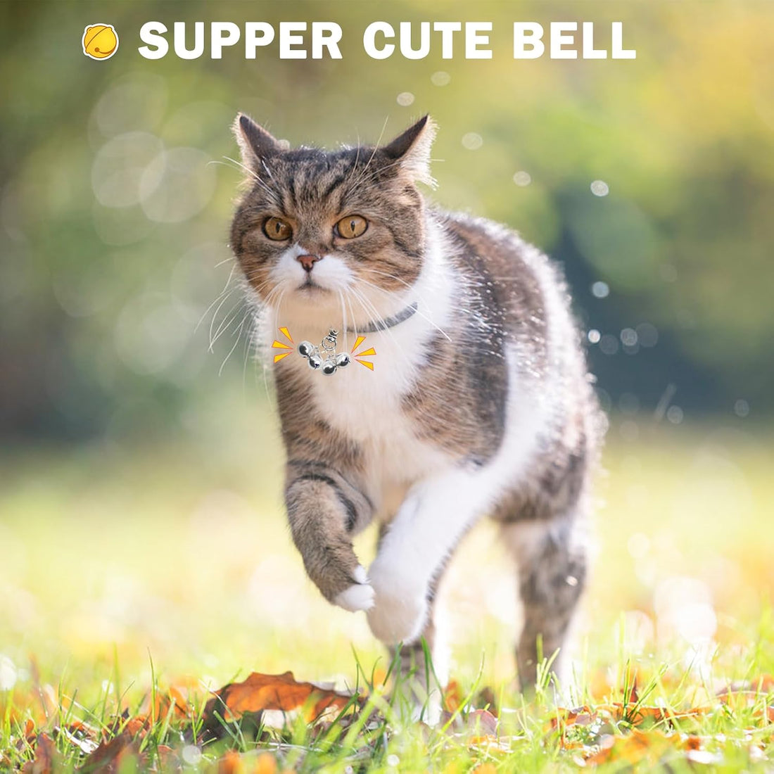 SCENEREAL Bells for Dog Collars