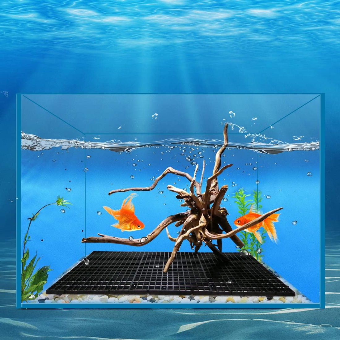 WEAVERBIRD 2 Pcs Aquarium Divider Tray Plastic Grid Divider Tray Egg