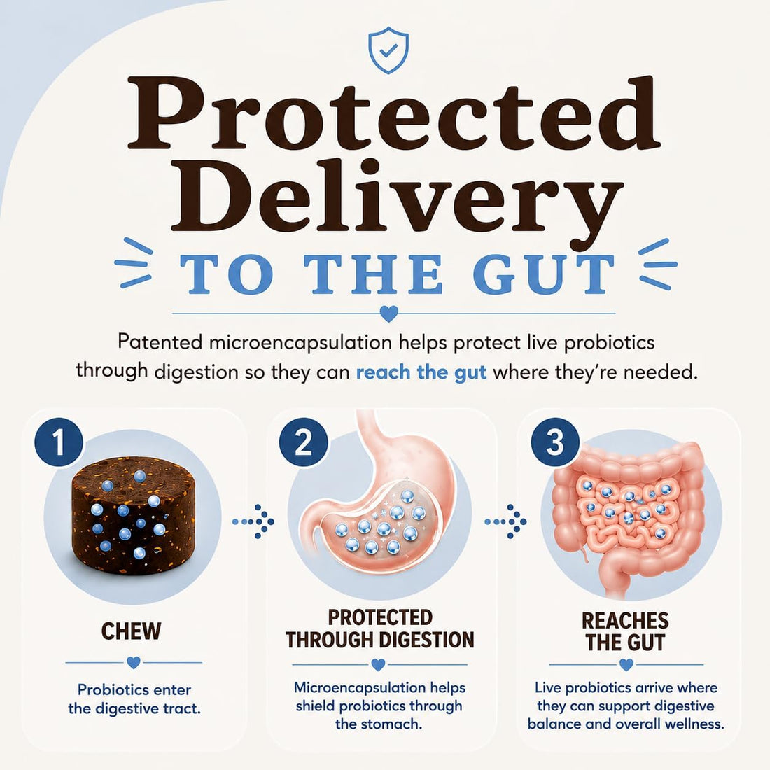Natural Dog Company Probiotics for Dogs