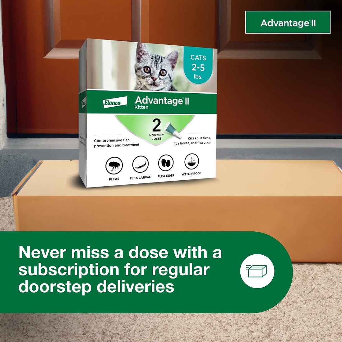 Advantage II Kitten Vet-Recommended Flea Treatment & Prevention