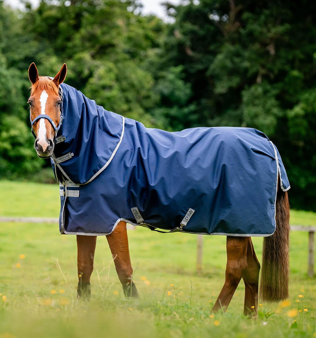 Horseware® Amigo® Ripstop 900D Plus Turnout 100g