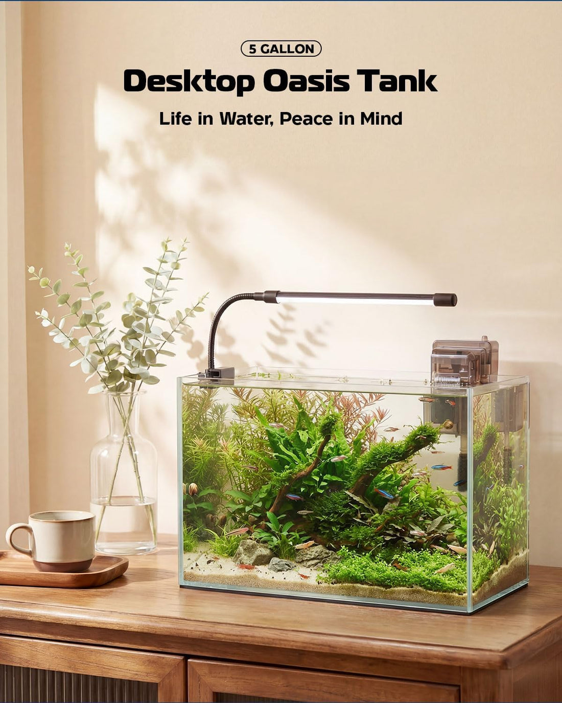 5 Gallon Glass Aquarium Starter Kit, Rimless Fish Tank