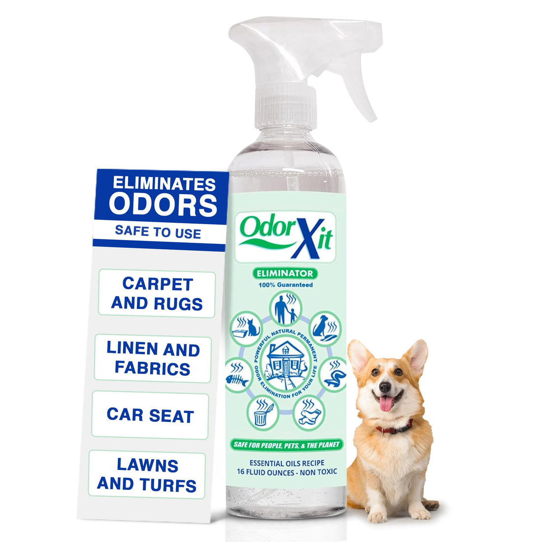 OdorXit Pet Urine Odor Eliminator