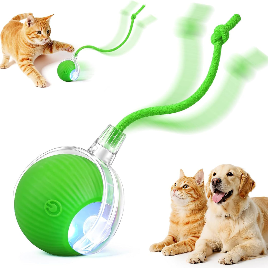 Interactive Automatic Rolling Electronic Stimulation Chase Ball Cat