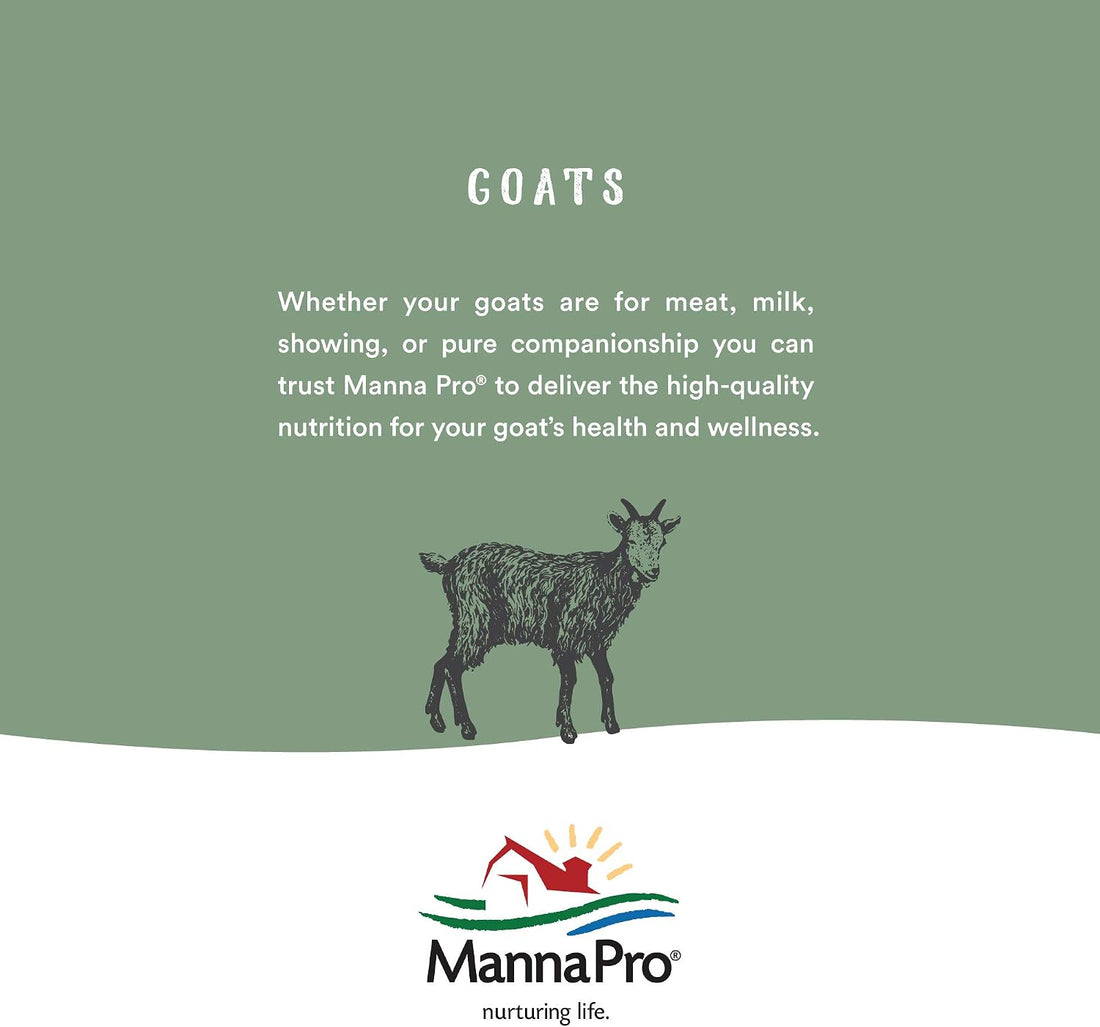Manna Pro Hen Healer Multi-Purpose Ointment | Helps Support Healing