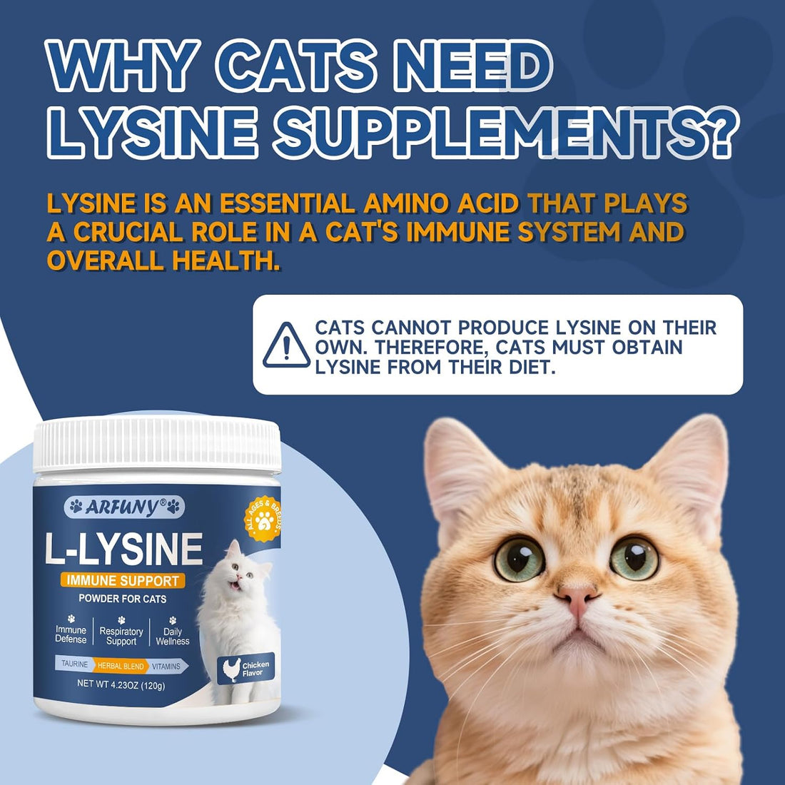 L-Lysine for Cats, Support Immune System, Respiratory, Eye Health