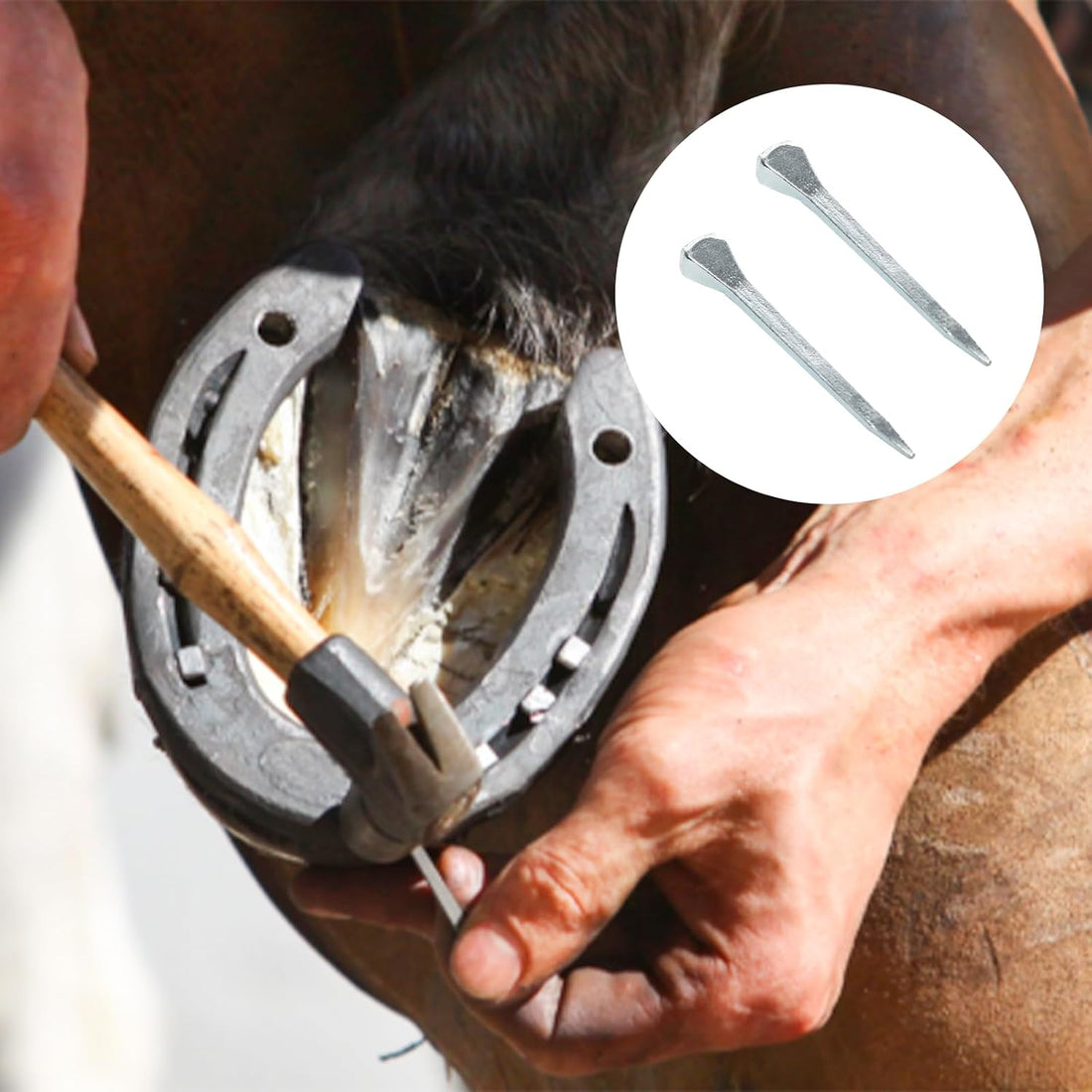 50 Pcs 1.77Inch (45mm) E3 Horseshoe Nails