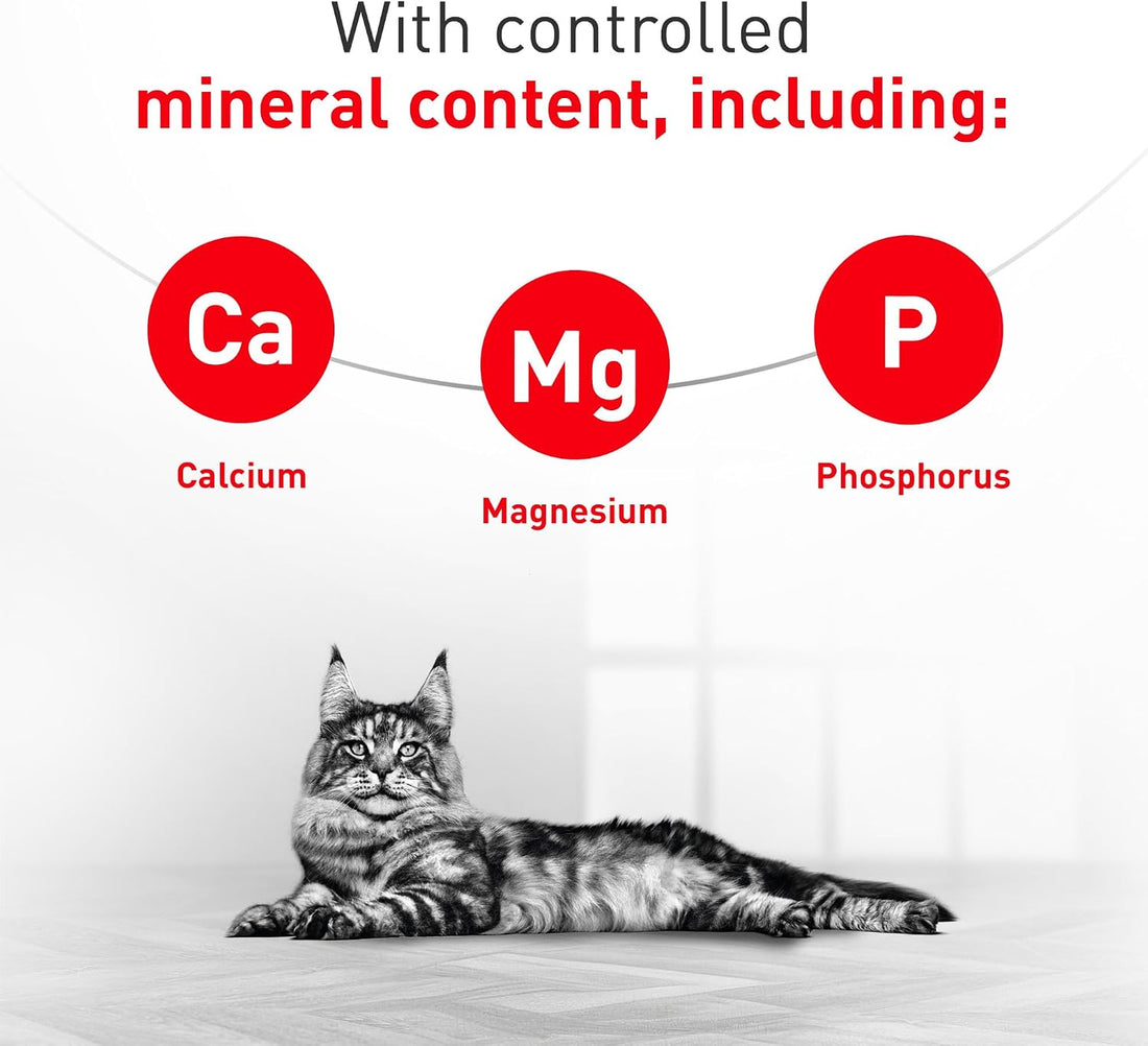 ROYAL CANIN Veterinary Diet Feline Urinary SO Adult Morsels in Gravy