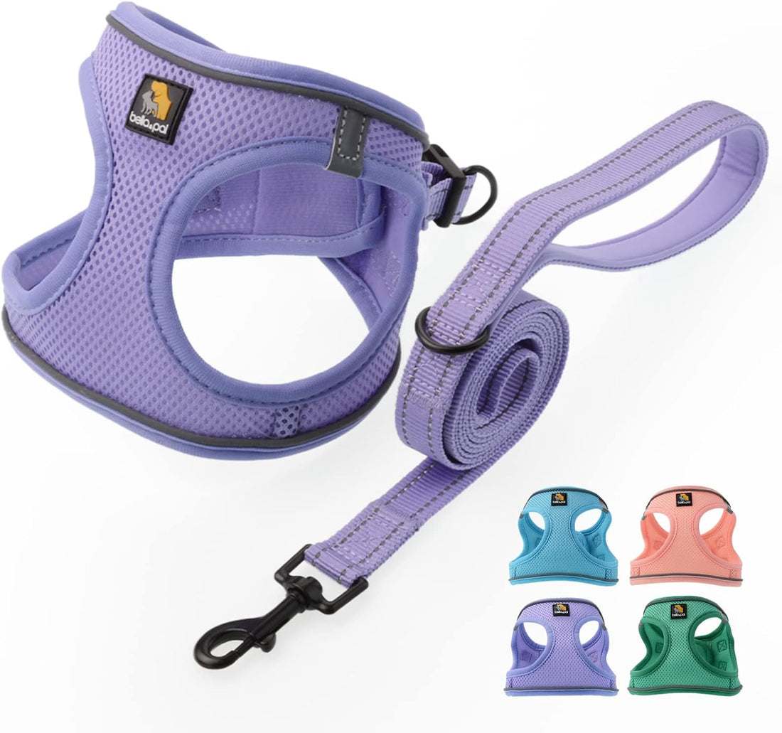 BELLA & PAL Step in Puppy Harness and Leash Set