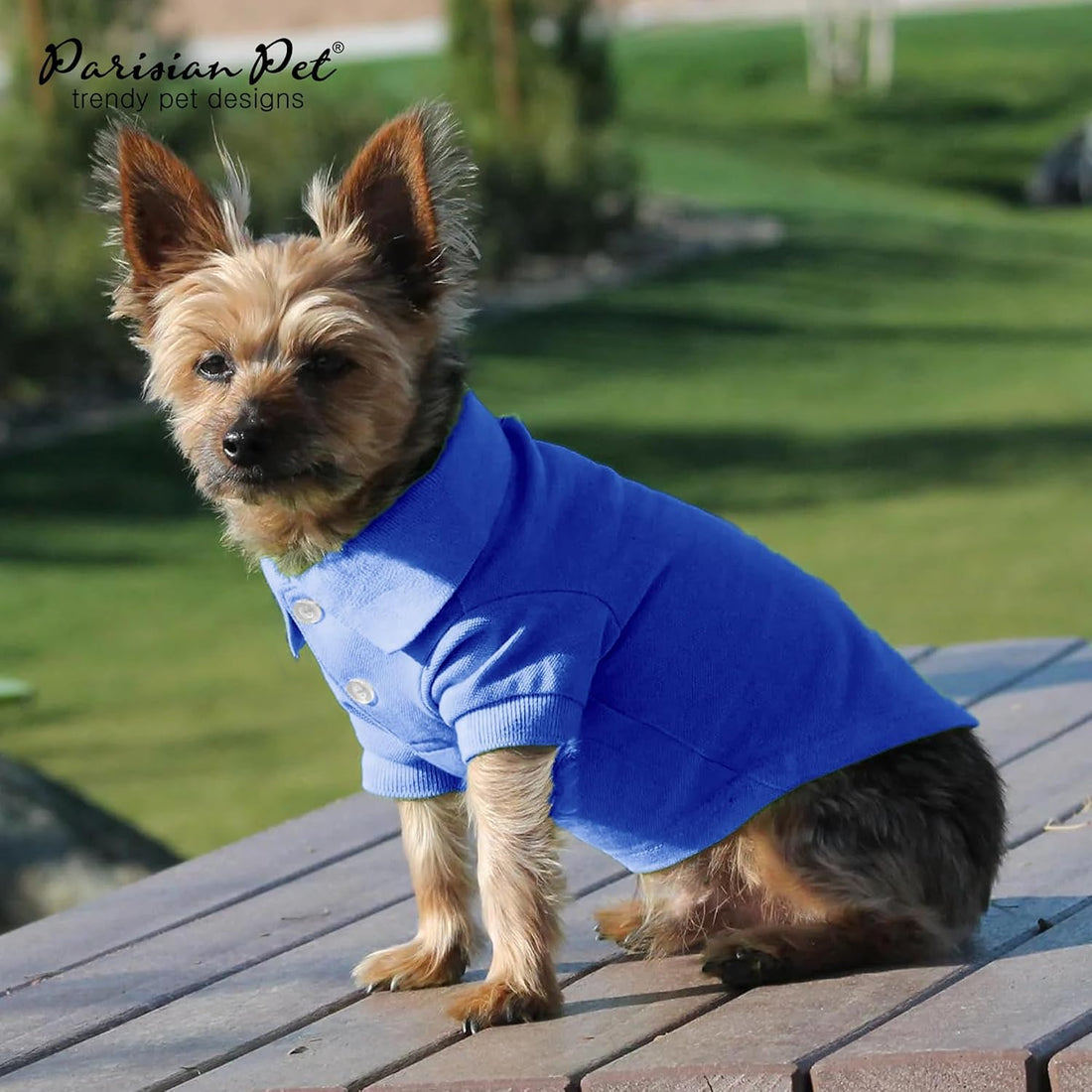Parisian Pet Dog Polo Shirt – Classic Blue Cotton Pet Apparel