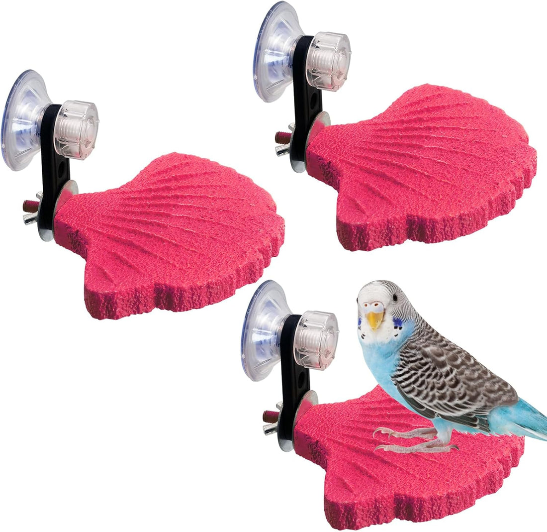 3 Pcs Parrot Perch Resin Bird Beak Grinding Stone
