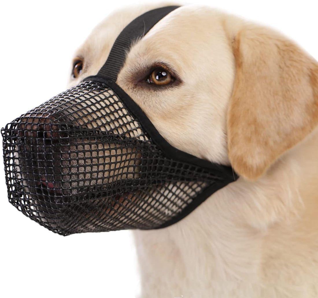 Crazy Felix Mesh Covered Dog Muzzle for Small Medium Large Dog Anti