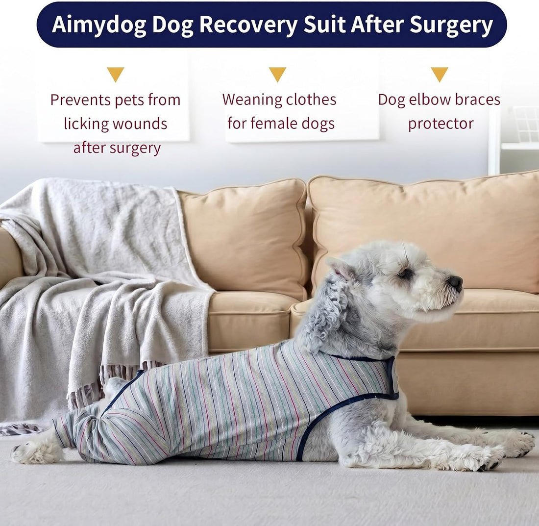 Dog Surgery Recovery Suit Female Spay Male Neuter,Lick Sleeve