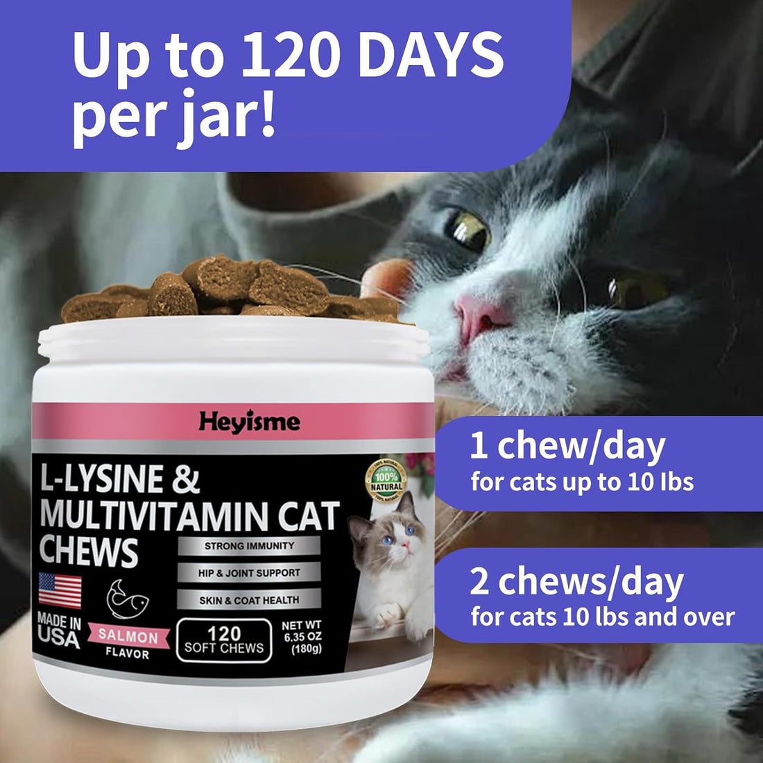 Lysine Supplement for Cats, Cat Treats for Sneezing and Runny Nose