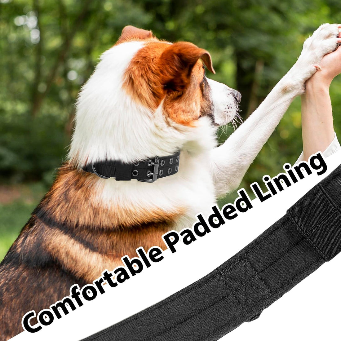 Tactical Dog Collar Heavy Duty Metal Buckle Collars for Medium Large