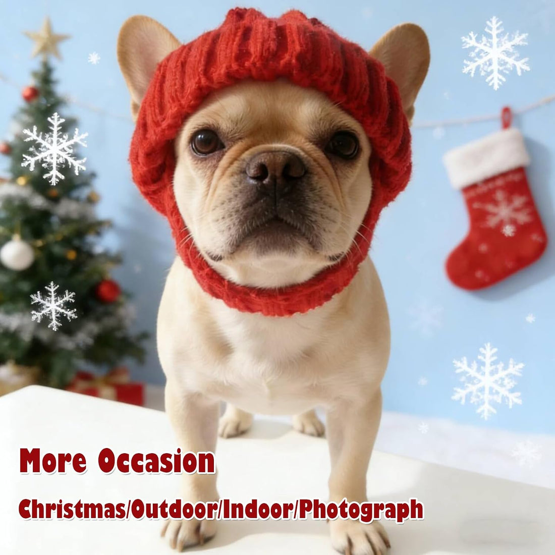 Warm Dog Knitted Hat with Ear Hole, Winter Pet Cap