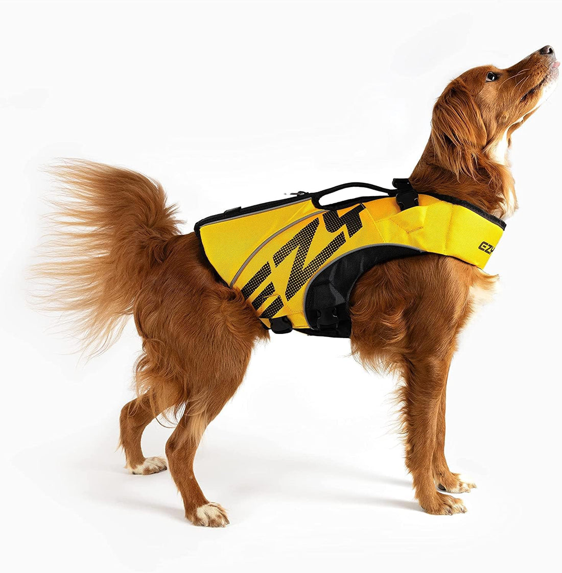 EzyDog DFD X2 Dog Life Jacket, Grab Handle, Reflective Trim - Large