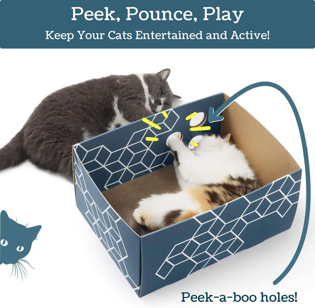 5609PETS Cat Scratching Box, Extra Large Refillable Double-Sided