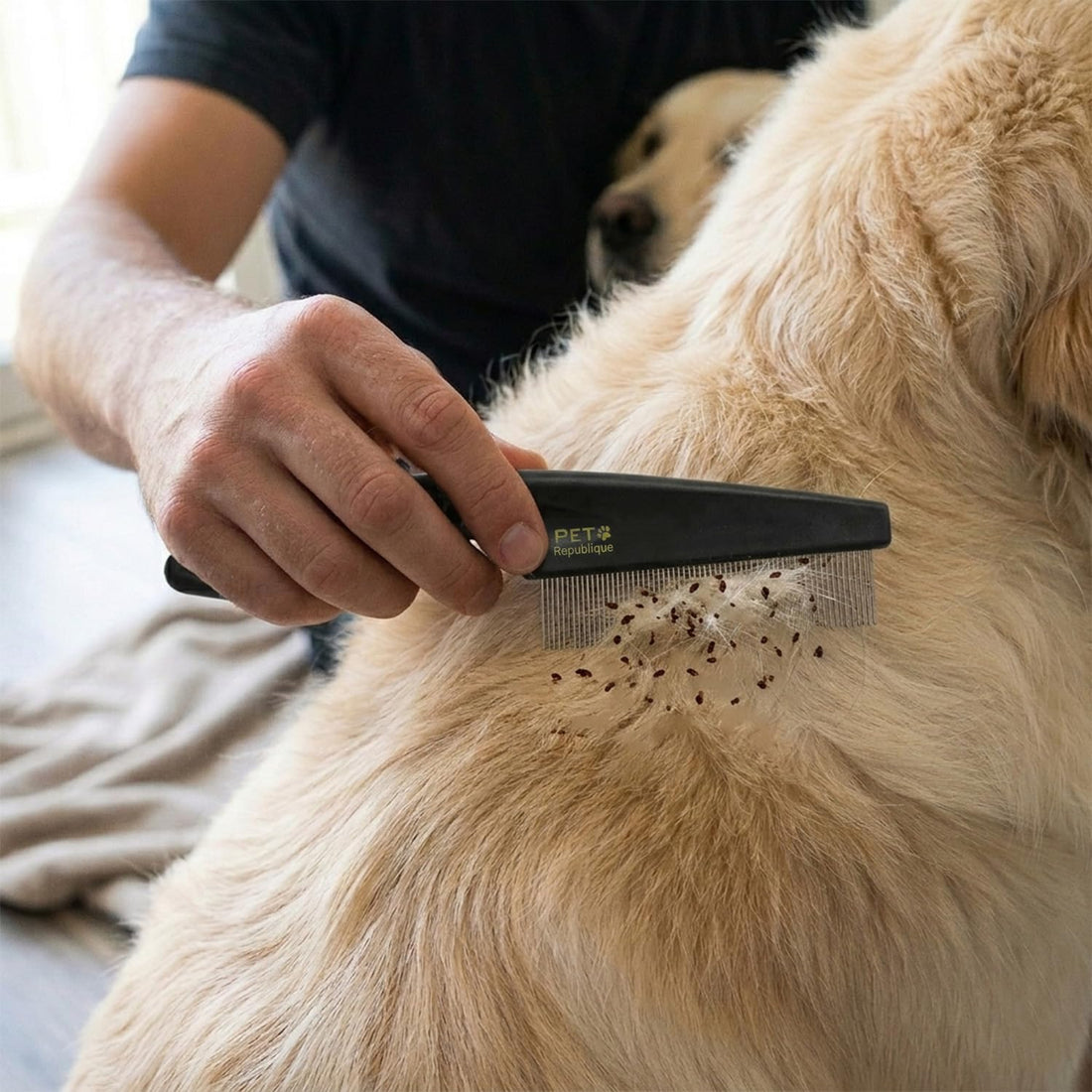 Pet Republique Grooming Tool - Fine-Toothed Comb for Removing Fleas
