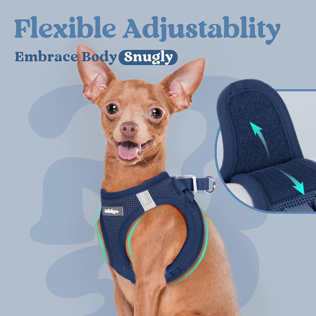 rabbitgoo Small Dog Harness, Step-in Soft Mesh Puppy Vest with Safety