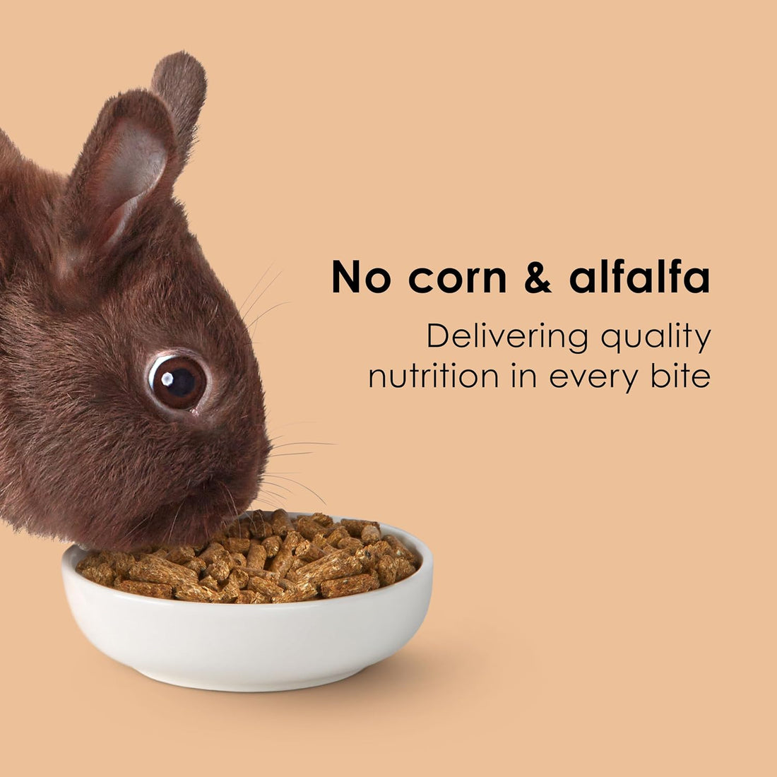 Kaytee Rabbit Food, Timothy Complete Rabbit Food Pellets, 9.5 Pounds