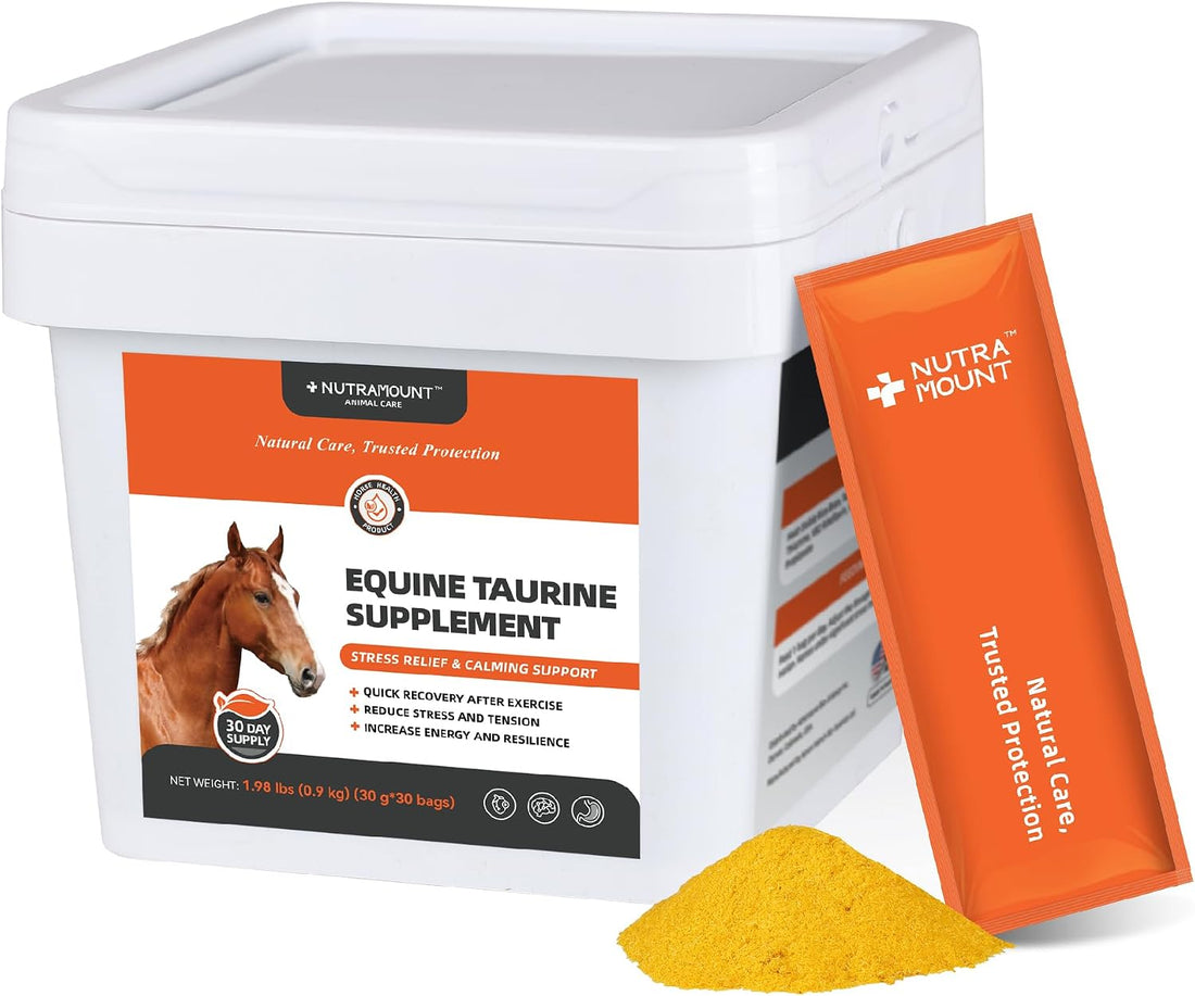 Horse Taurine Supplement Powder for Performance & Nerve Support
