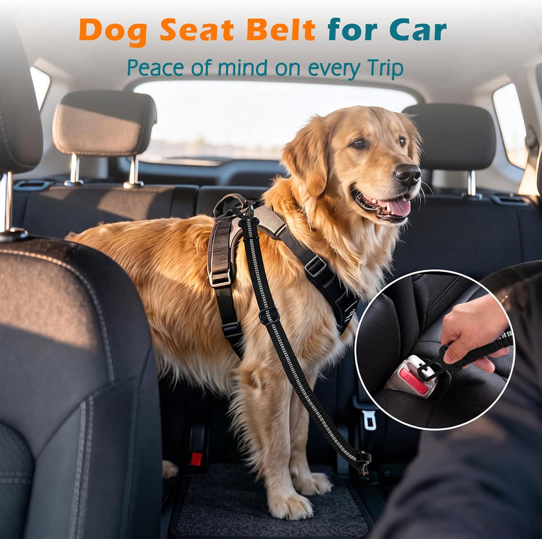 PetBonus Dog Seat Belt for Car