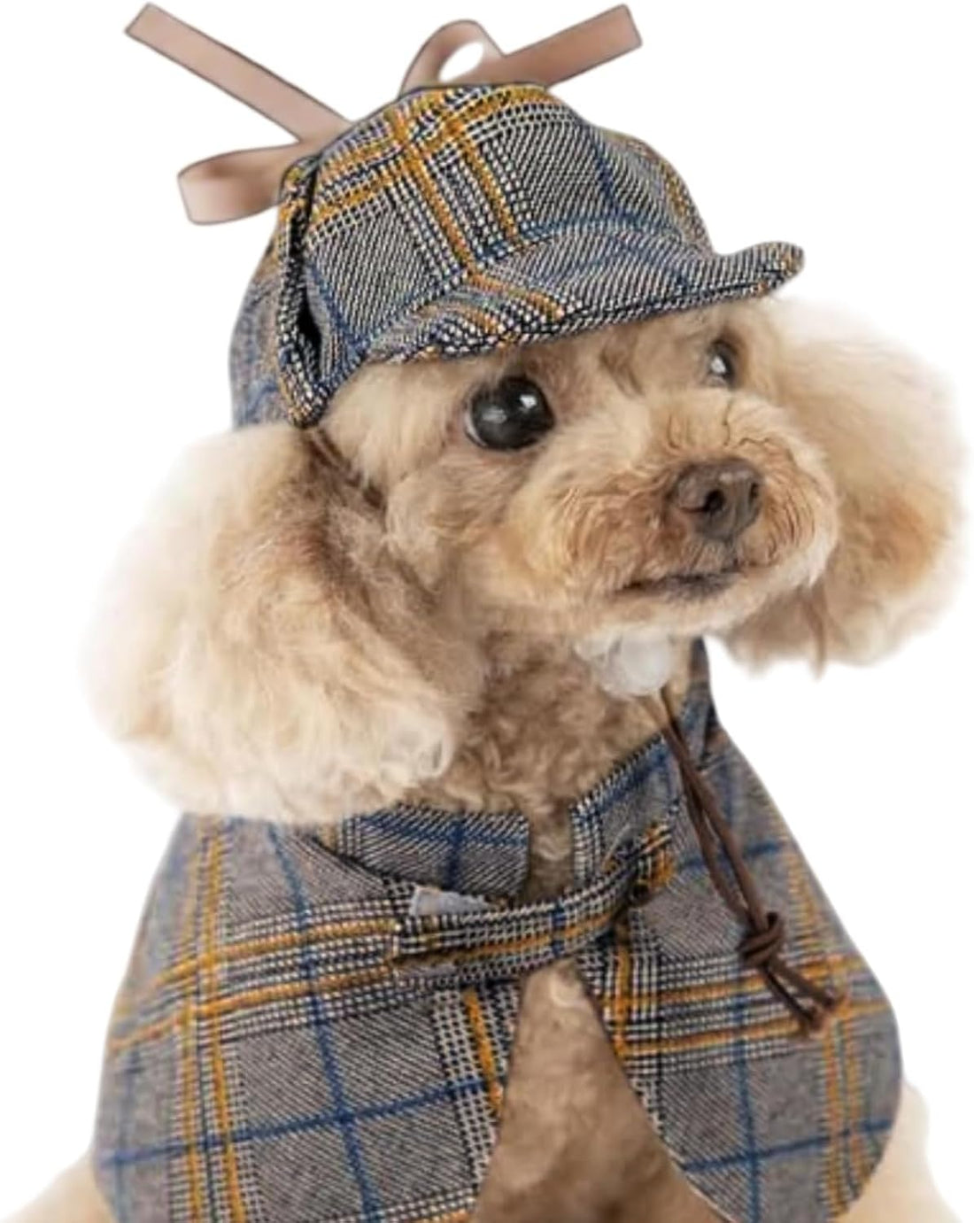 MANON ROSA Halloween Detective Dog Costume with Cape & Hat