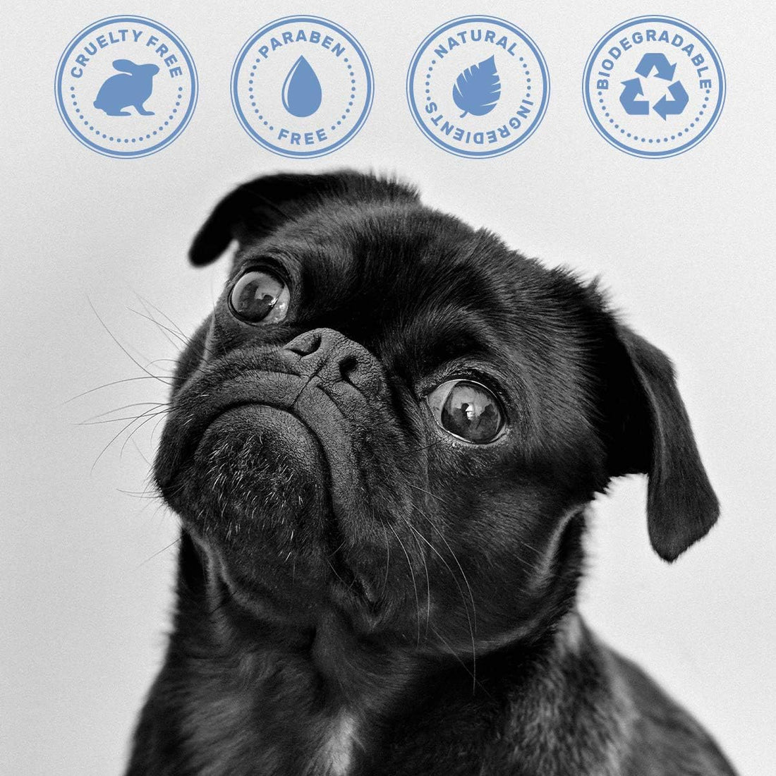OLIVER'S CHOICE Dog Shampoo with Oatmeal, Aloe & Shea Butter