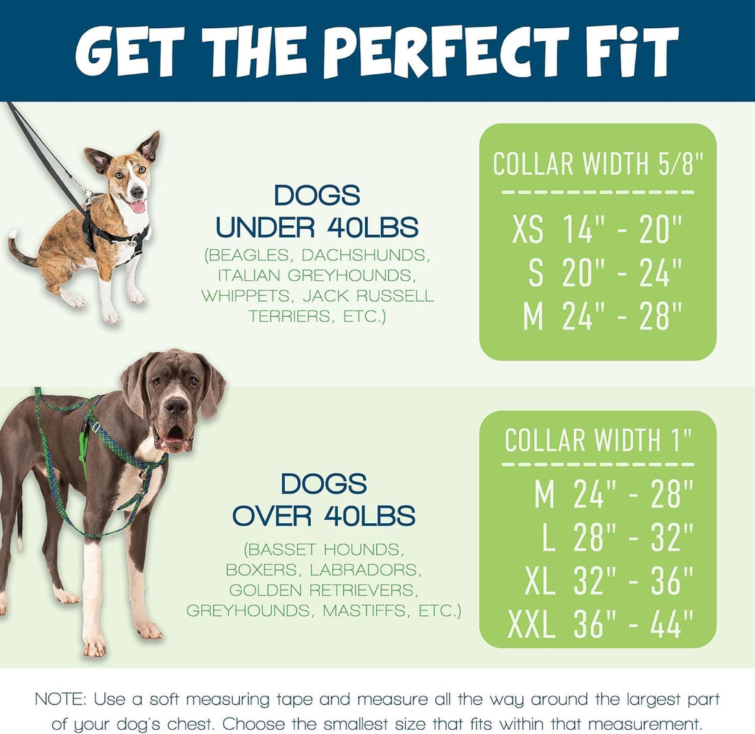 2 Hounds Design Freedom No Pull Dog Harness