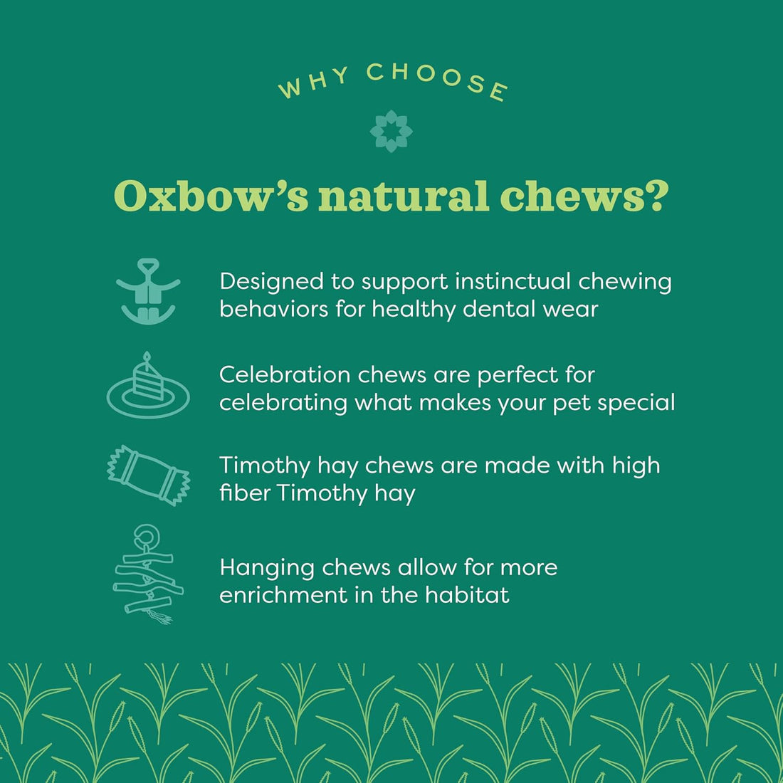 Oxbow Crazy Hay Ball, Rabbit & Guinea Pig Toys, Bunny Enrichment Toys