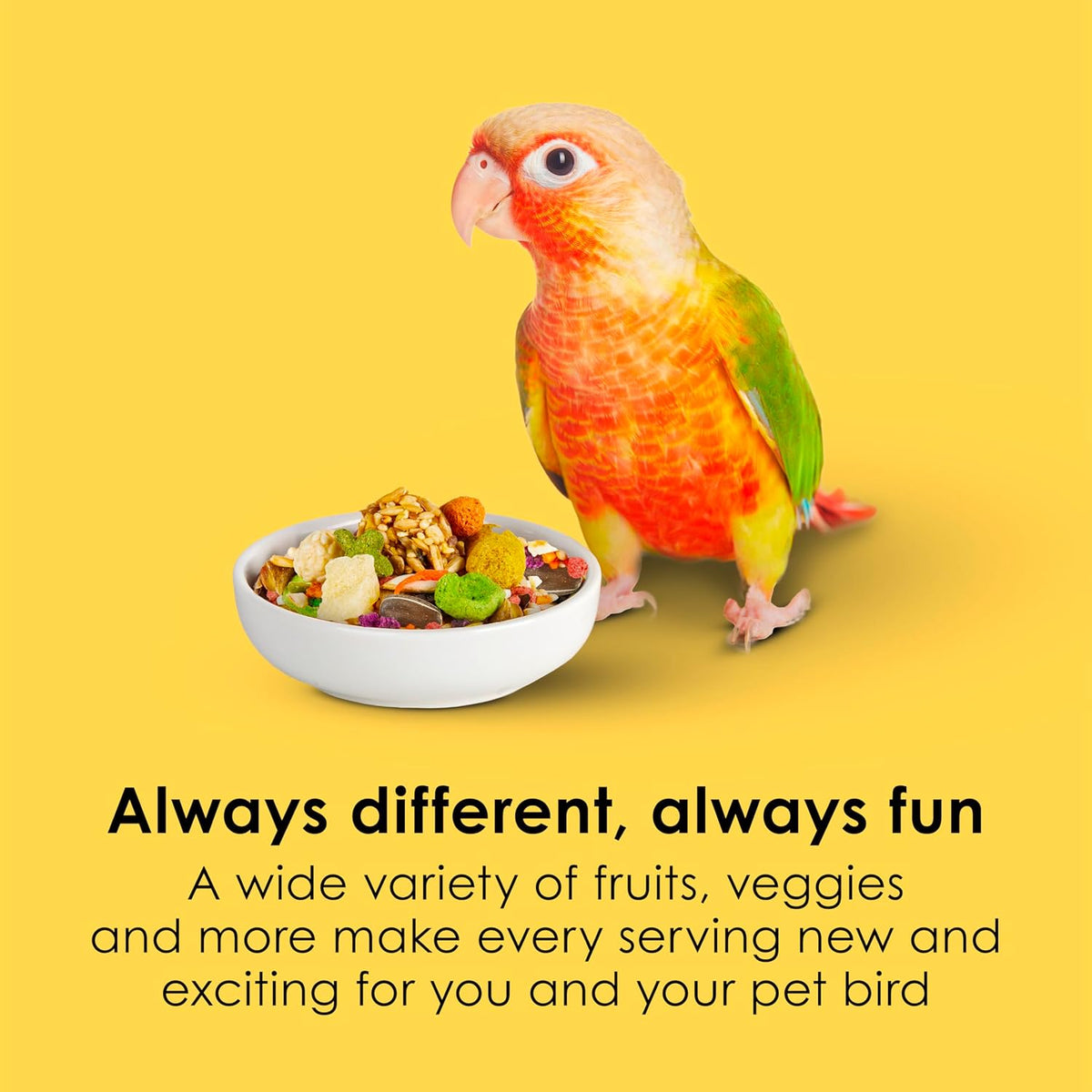 Kaytee Fiesta Conure Food, Nutritious and Fun Blend, Supports Skin
