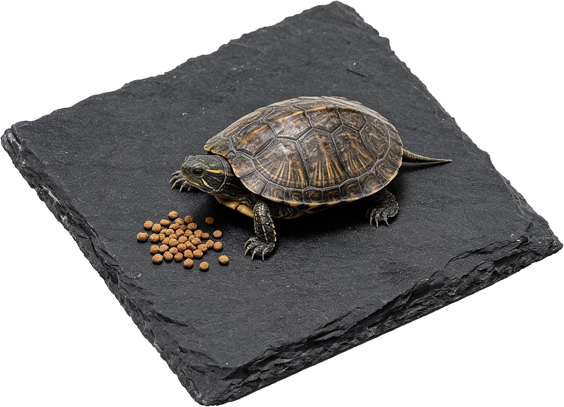 Turtle Basking Platform Slate, Reptile & Tortoise Rock, 3.9X3.9 in