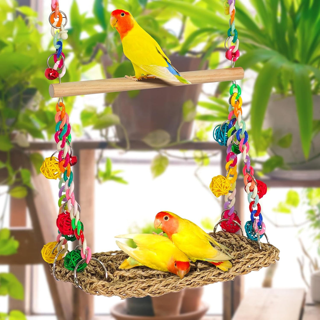 Natural Bird Swing Toys with Wood Perch,Double Layer Bird Seagrass