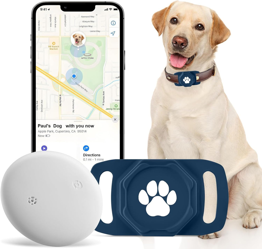 Smart Pet Tracker for Collar