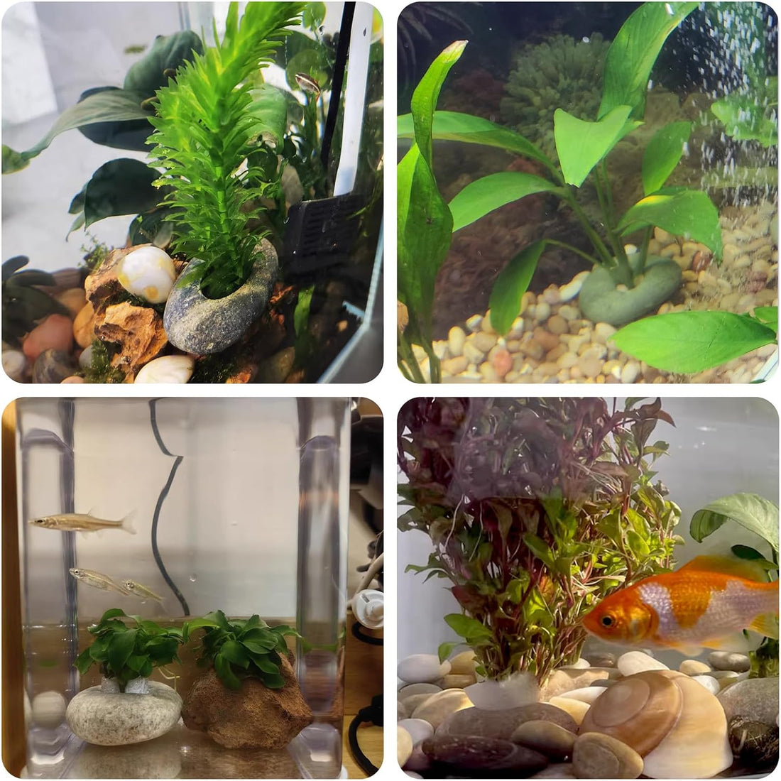 6 Pcs Natural River Rocks for Aquarium Plant Weights, Fish Tank Decor