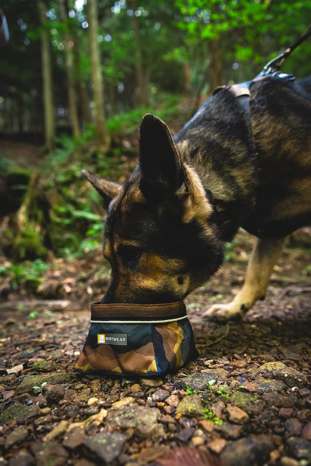 Ruffwear, Quencher Collapsible Dog Bowl