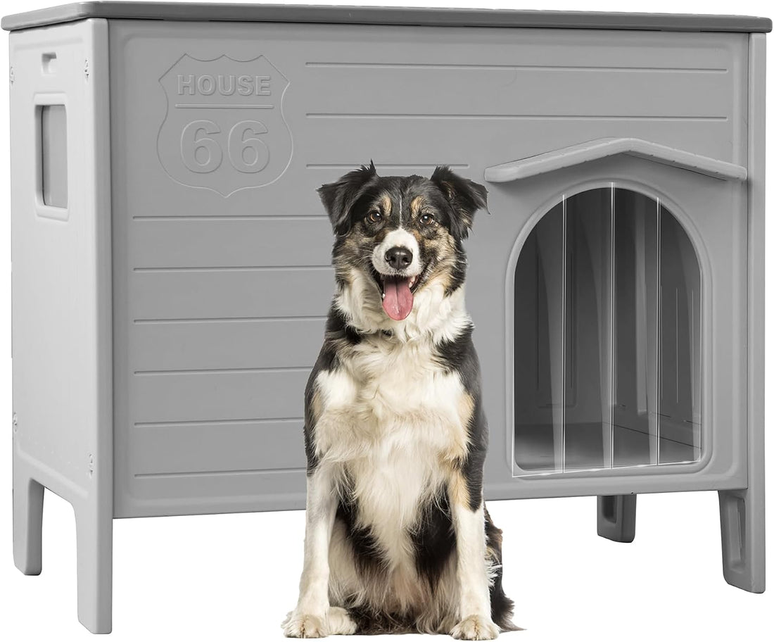 Heated Dog House Outdoor for Medium and Small Dog