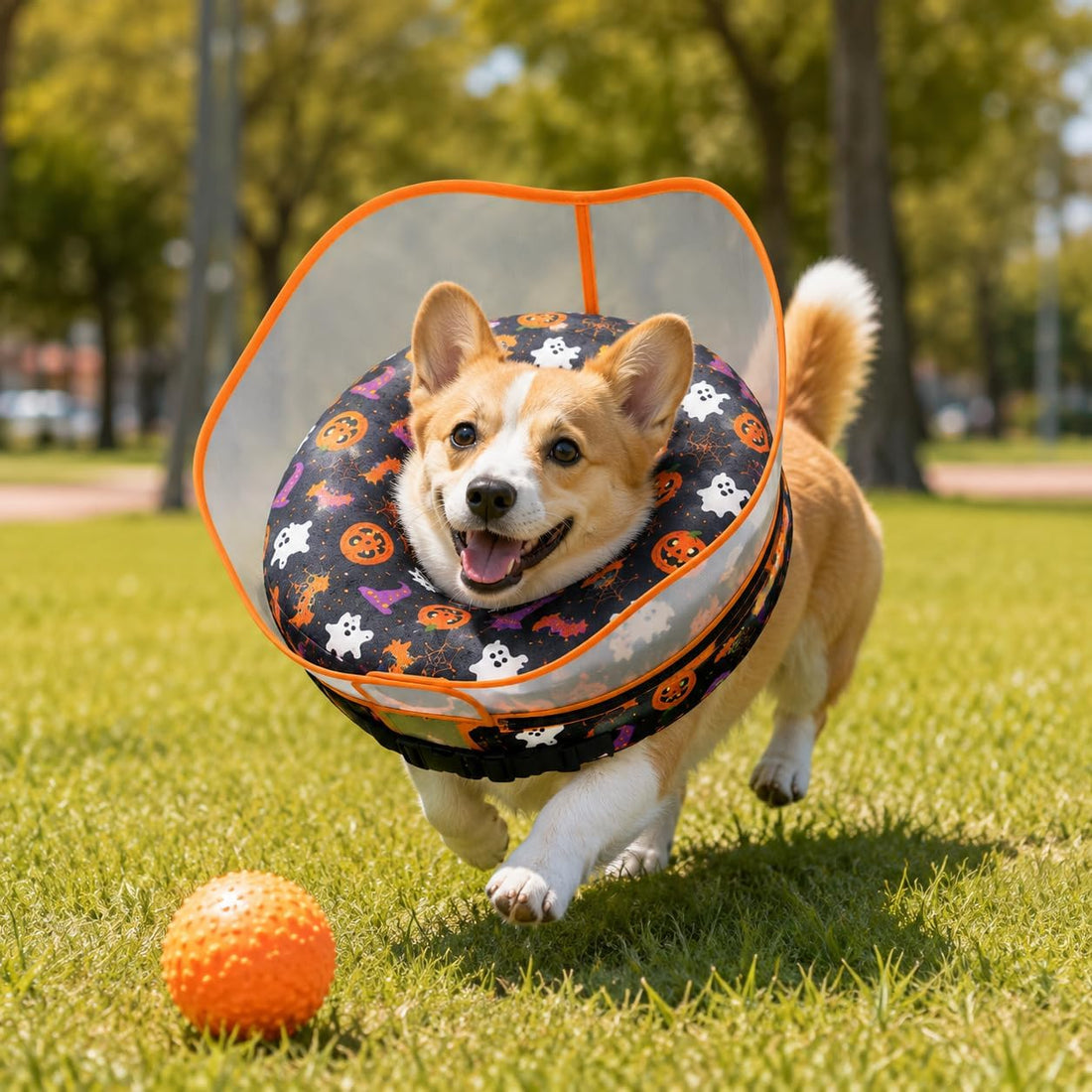 Avont 2-in-1 Dog Cone XL Halloween Shield