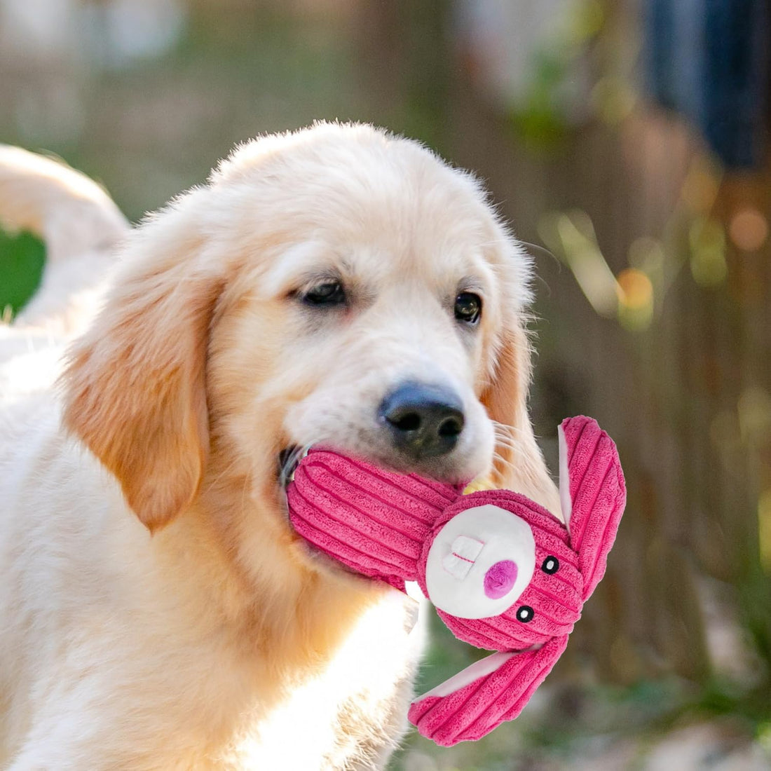 MRSOHRET 5 Pack Dog Toys Squeaky