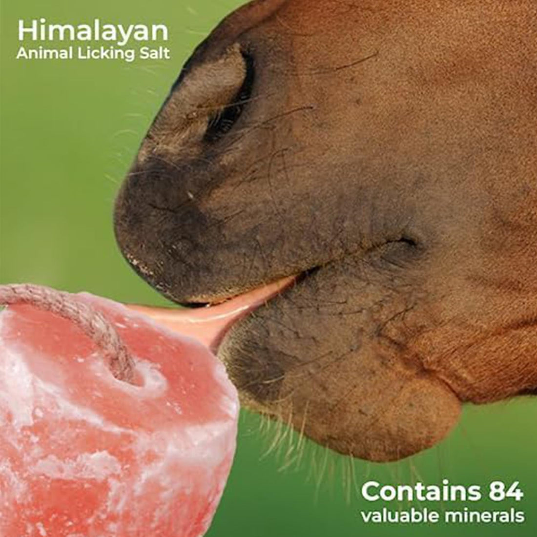 6–7 lbs Himalayan Salt Lick Block for Horses and Deer on Rope –