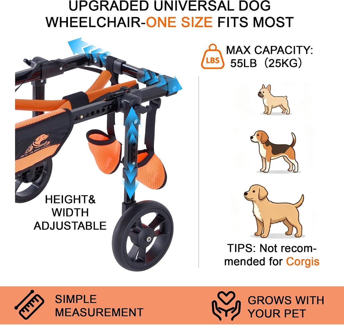 Dog Wheelchair for Back Legs, Adjustable Mobility Support for dogs
